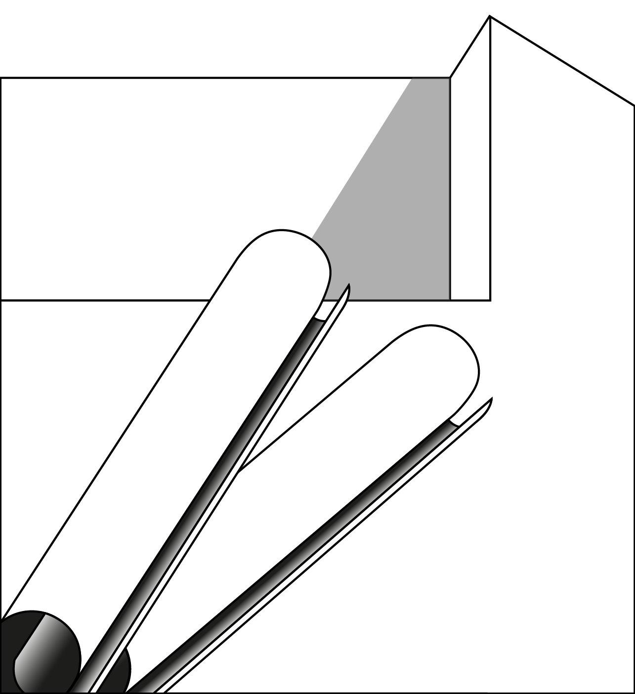 Baumanagement SW